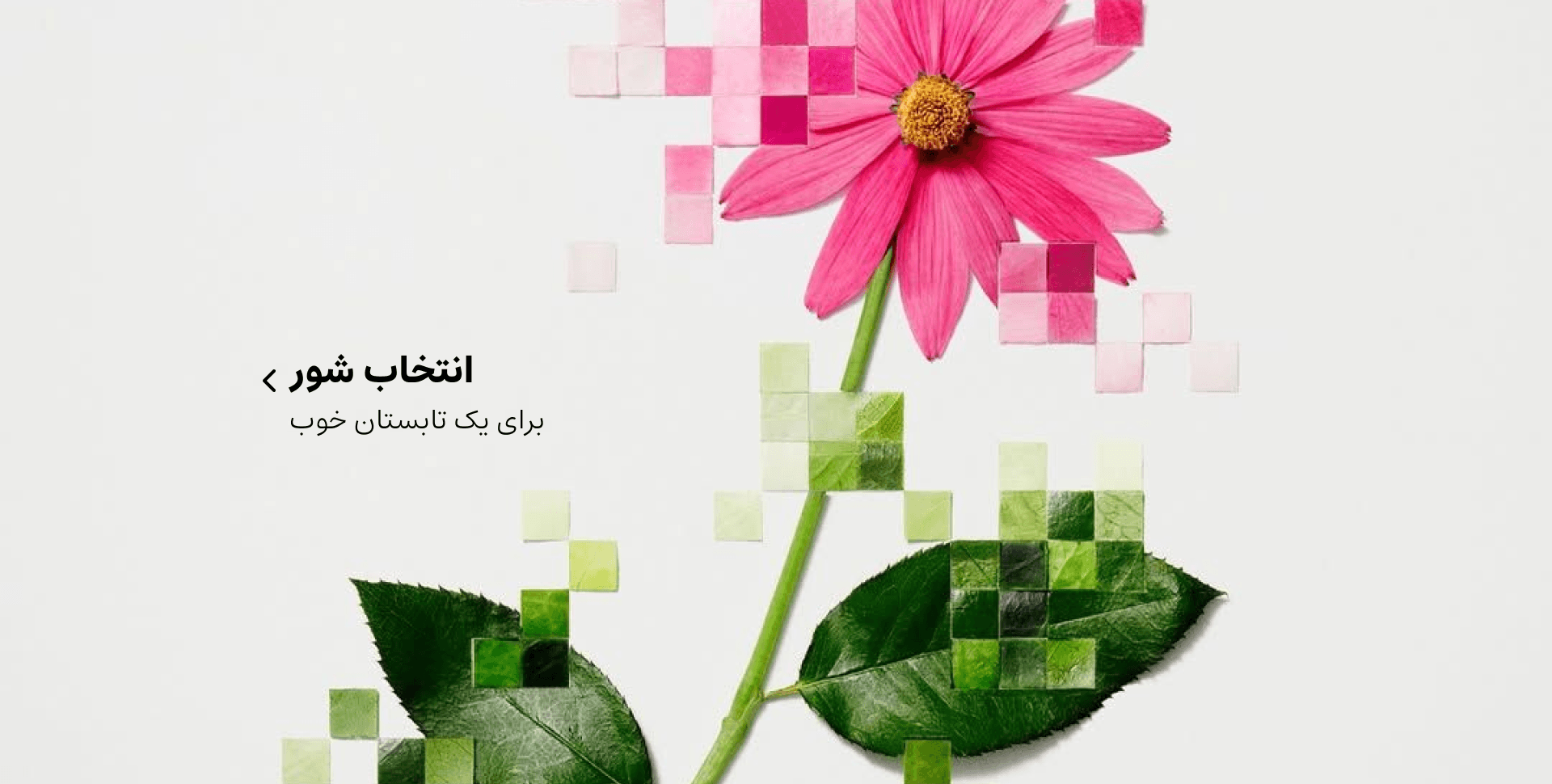 شور