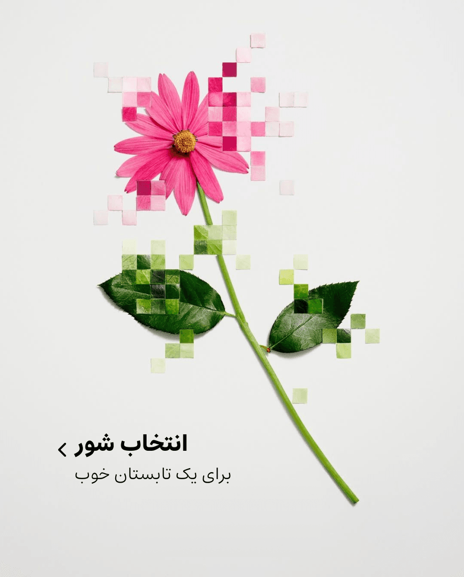 شور